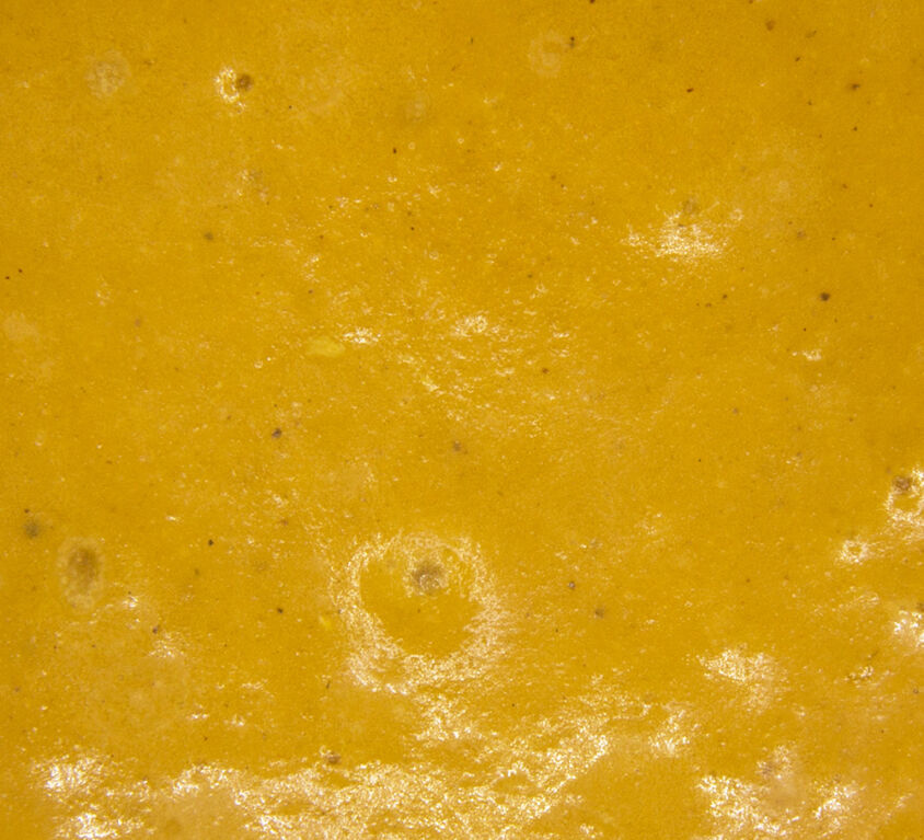 224 Kürbissuppe (1kg)